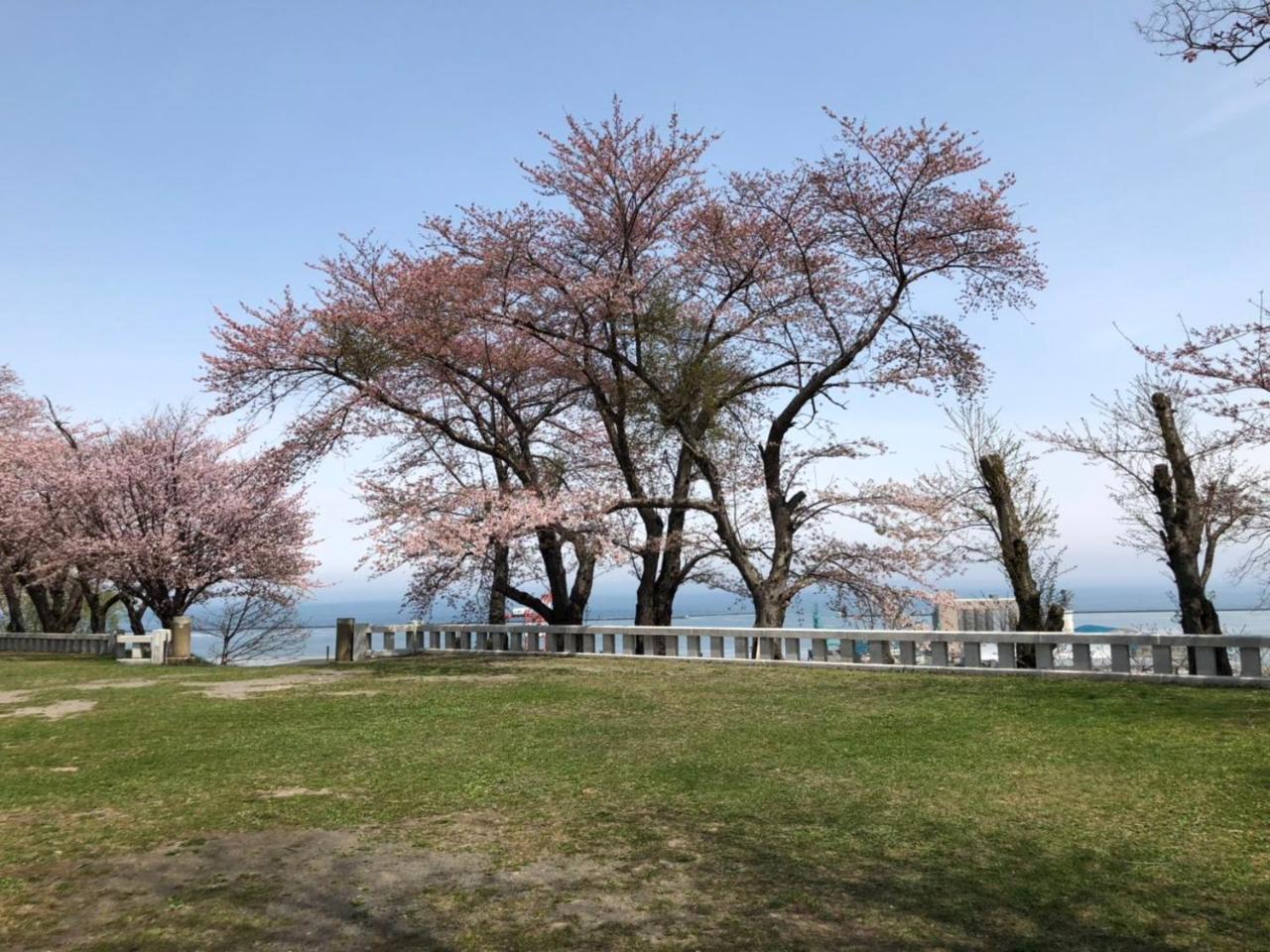 Asahi 民宿